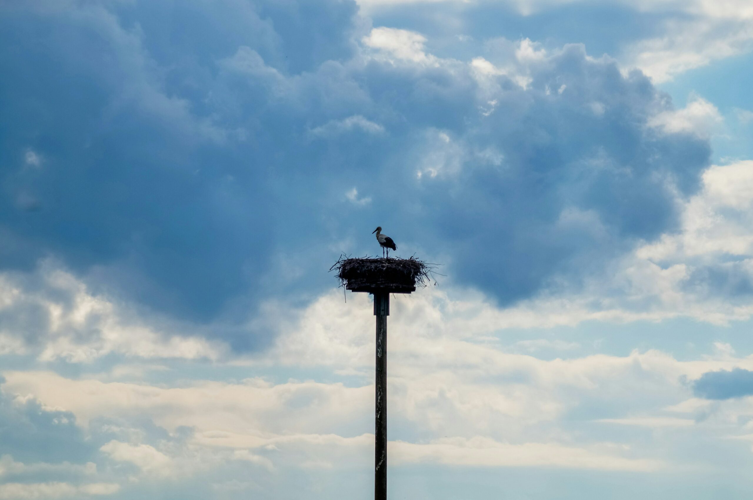 Lire la suite à propos de l’article Le petit monde de Cieléter : une recherche qui débutera les 29 et 30 septembre à La Griffe à Saint-Brieuc